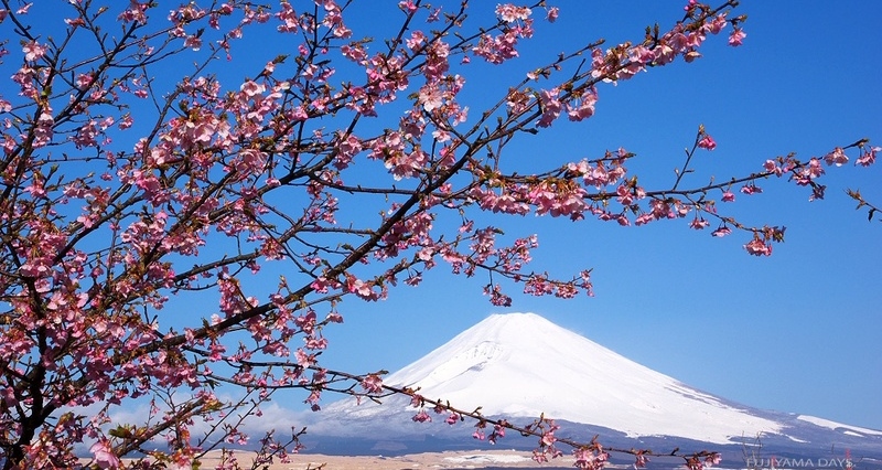 Mt.Fuji